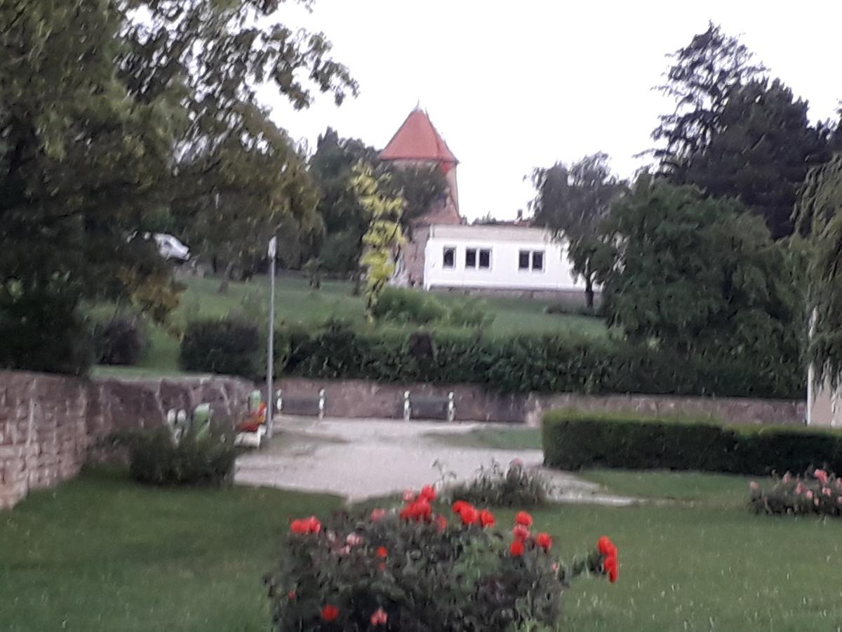 Bed and Breakfast Fenyes Vinorium Sopron Zewnętrze zdjęcie